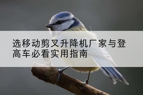 惠州电动升降机厂家-选移动剪叉升降机厂家与登高车必看实用指南