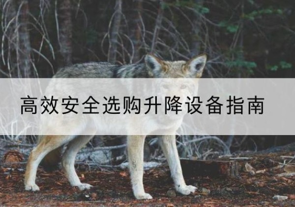 惠州升降货梯厂家推荐-*安全选购升降设备指南